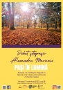 small_afis_ok_artimage_112022.jpg small_afis_ok_artimage_112022.jpg