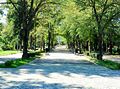 Miniatură pentru versiunea din 21 iunie 2024 05:57