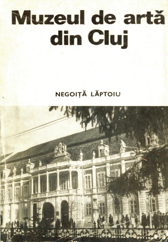 Imagine:Muzeul de arta din Cluj Negoita Laptoiu.jpg